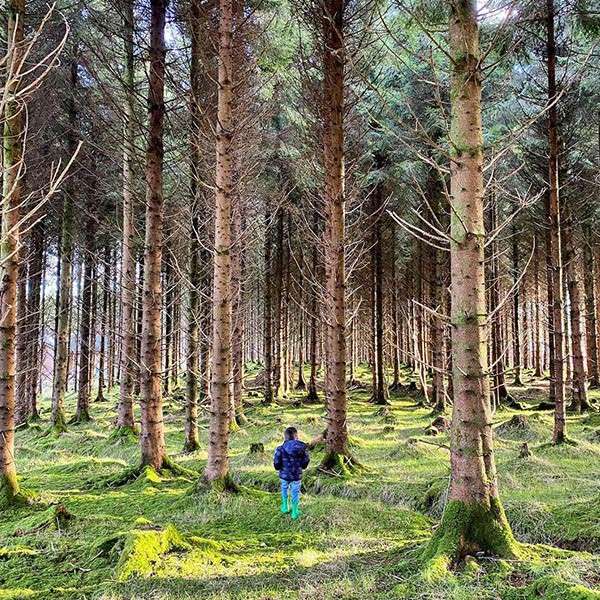 A boy walking through the forest