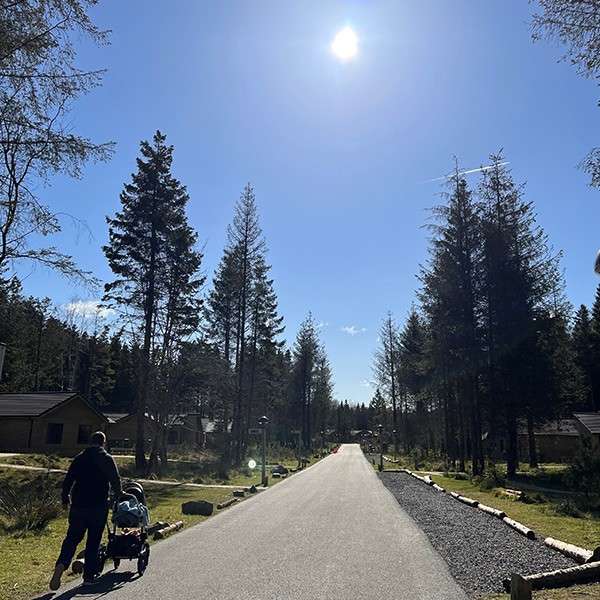 A dad pushing a pushchair in the forest 