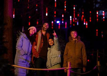 A family looking at the lights in the forest.