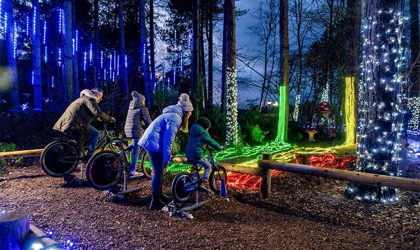 Four people on stationary bicycles pedal, powering colorful LED light displays. Surrounded by trees wrapped in festive lights, they ride on a mulch area behind a wooden rail at dusk.