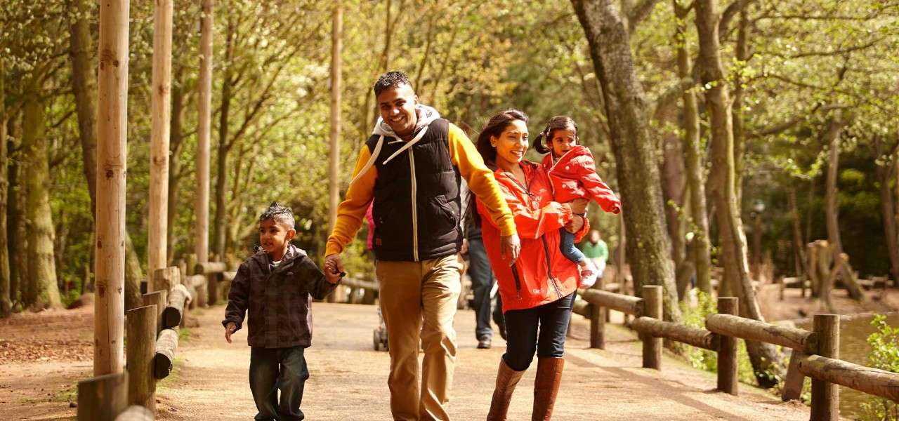 A family of four on a walk through the autumn woodland