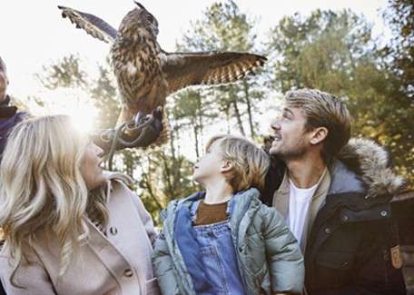 Family looking up at an owl with spread wings