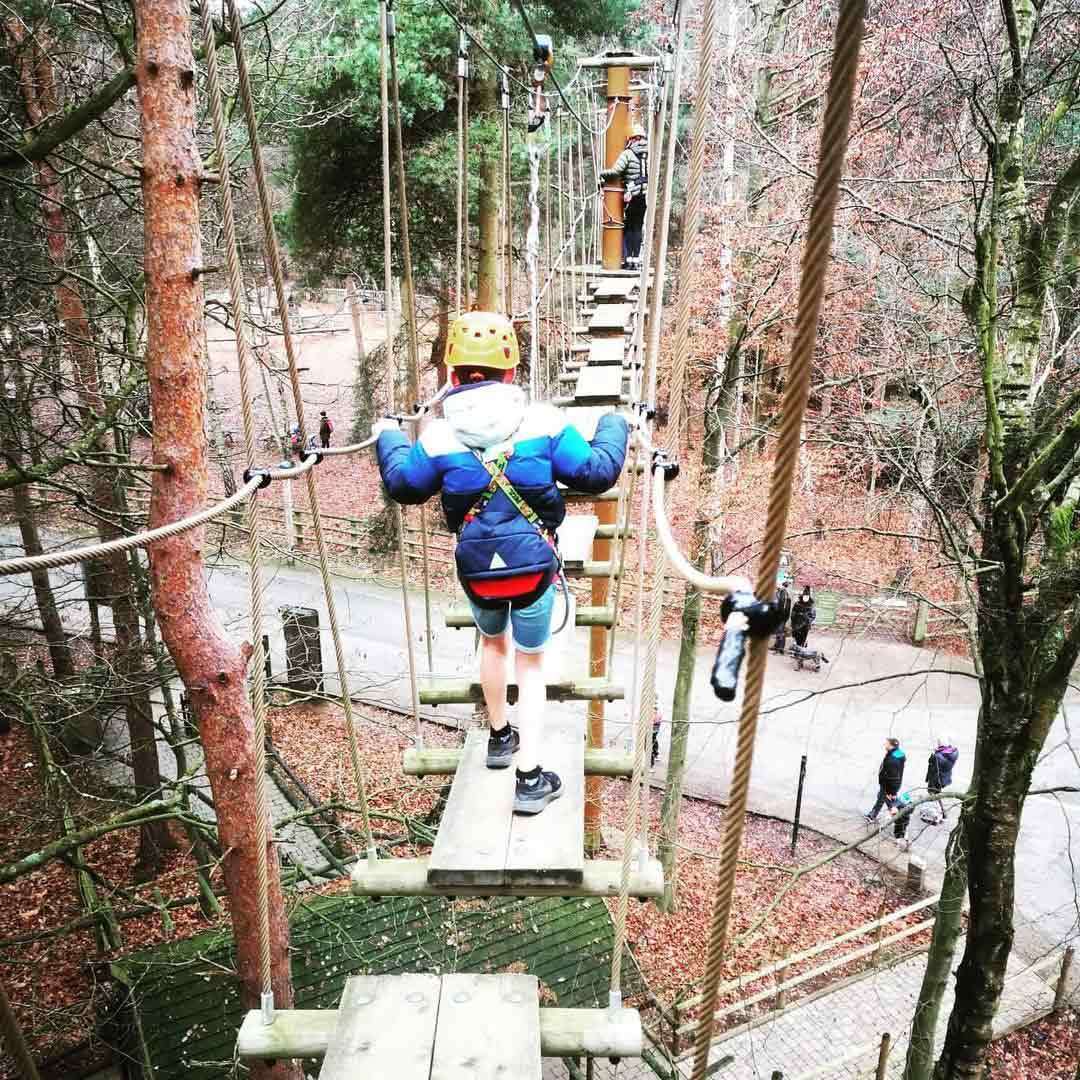 Young boy walking across a bridge on the Aerial Tree Trekking course
