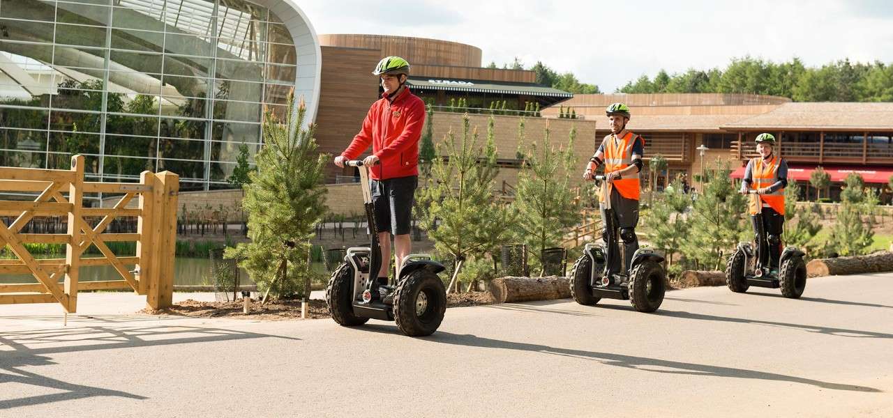 Guests using segways