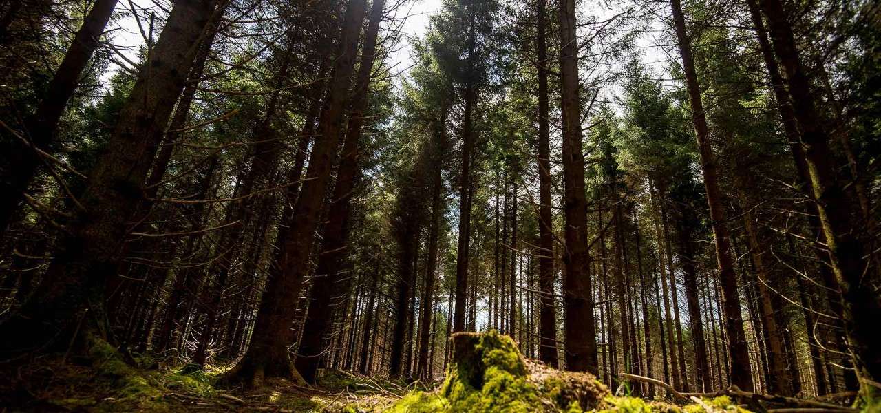 The Outdoor Activity Centre Picture Of Center Parcs Woburn Forest Bedford Tripadvisor