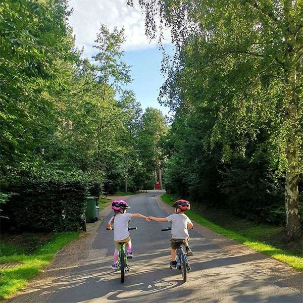 Two children ride bicycles, holding hands, moving away down a paved path. Sunlit trees and bushes flank the winding road in a quiet park or residential area under blue sky.