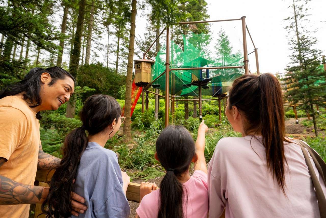 A family of four looking up and pointing to the adventure nets in the treetops. 