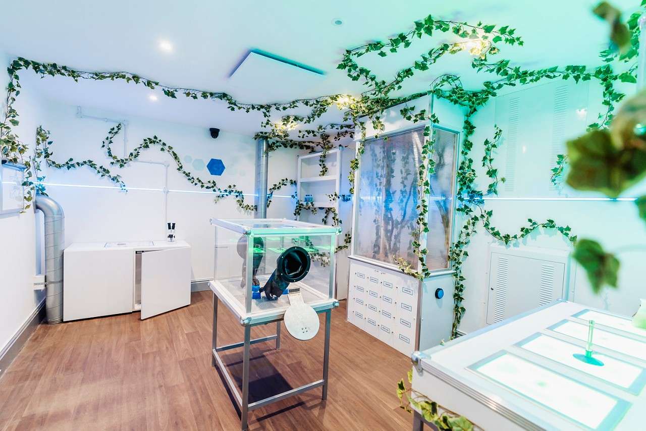 WO ESCAPE THE FOREST 27