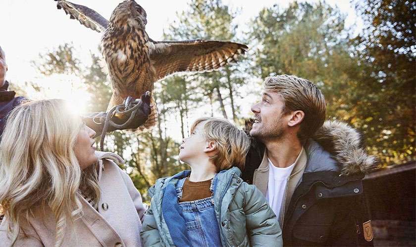 A family looking at an owl during the Owl Beacon Experience.