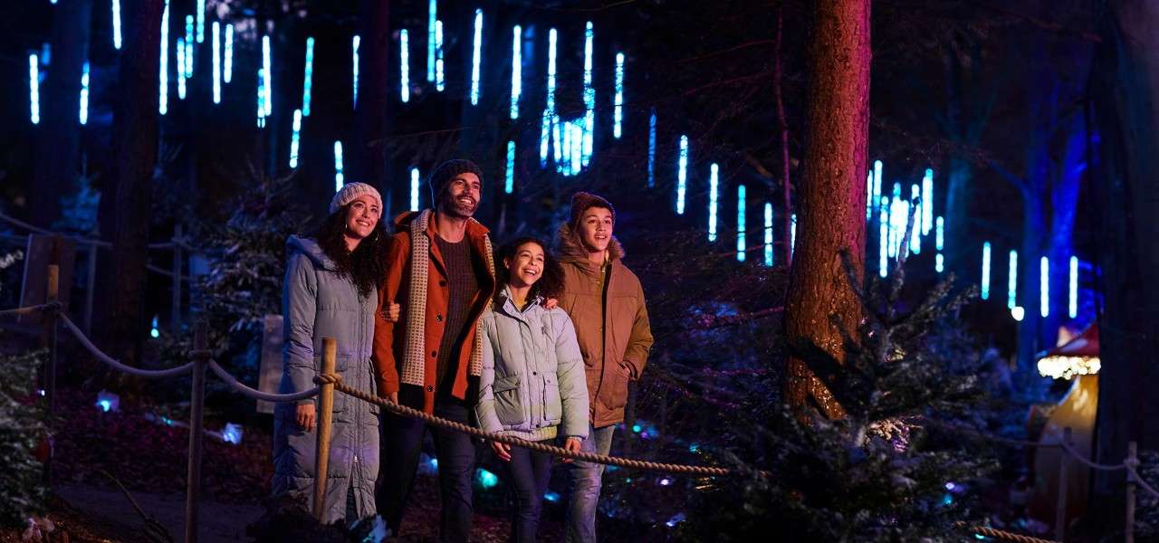 Family walking through a forest of enchanted lights