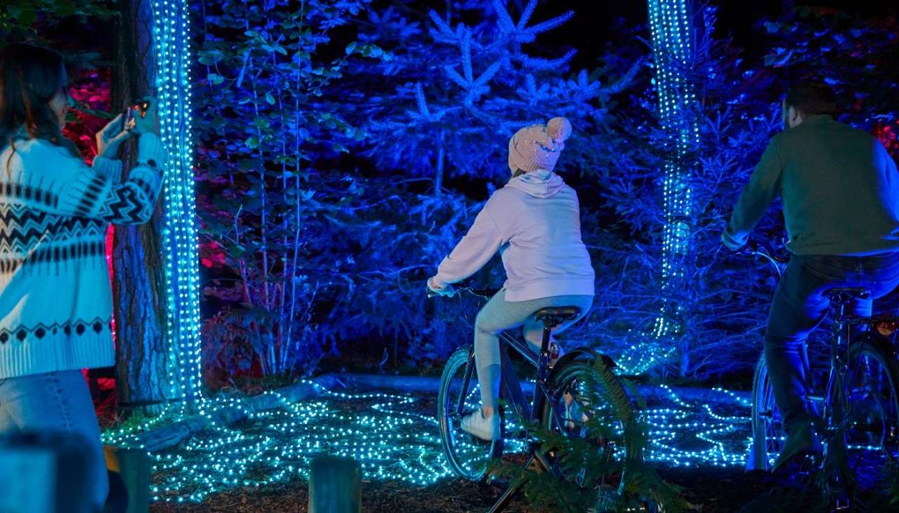 Man and young girl riding bikes to power forest lights