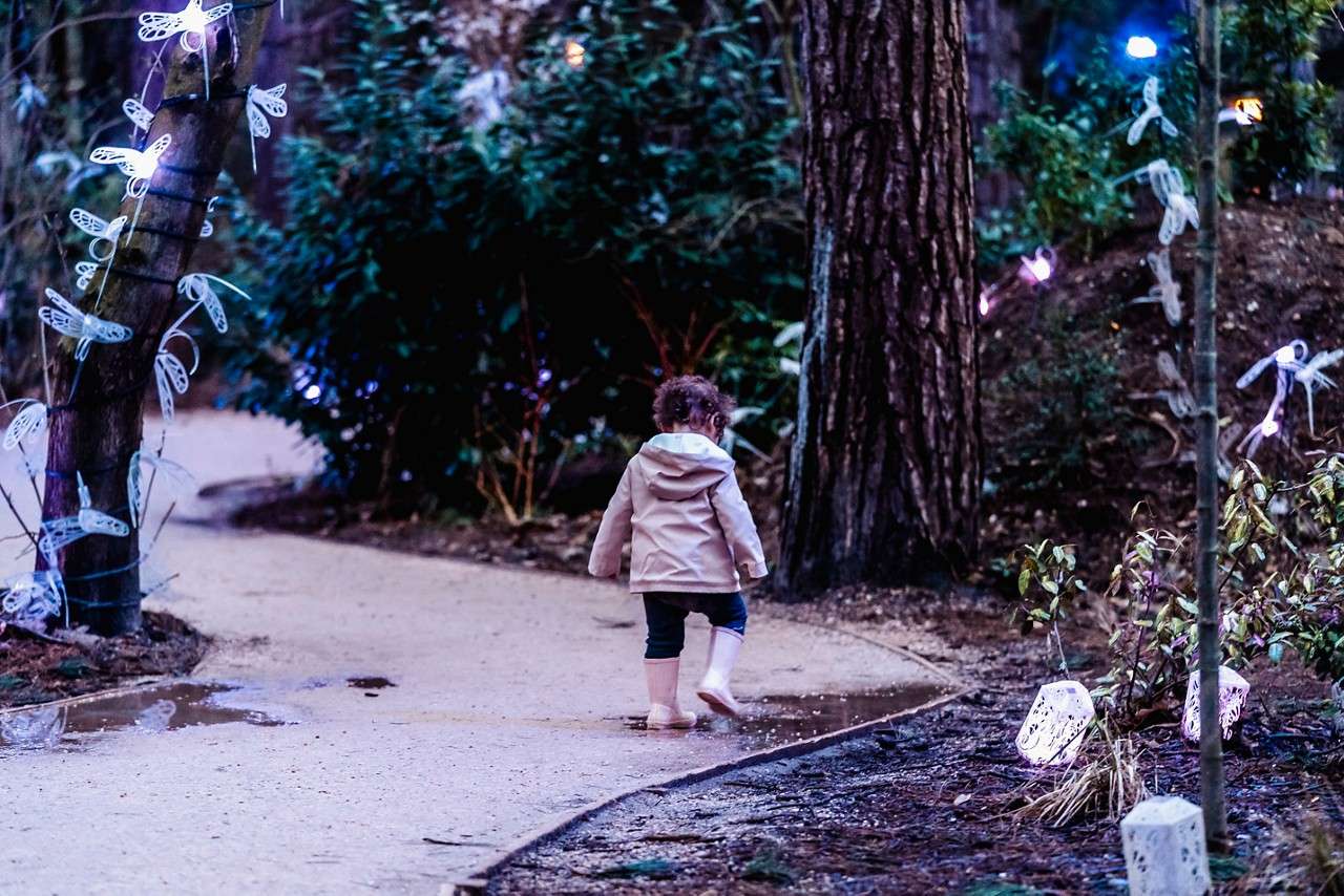 Little one exploring the Enchanted Light Garden.