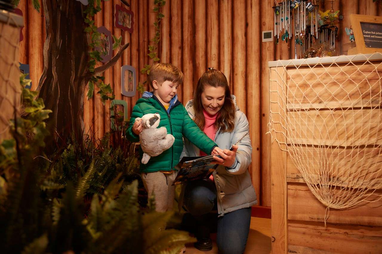 A shop stocked with Winter Forest Lights items.