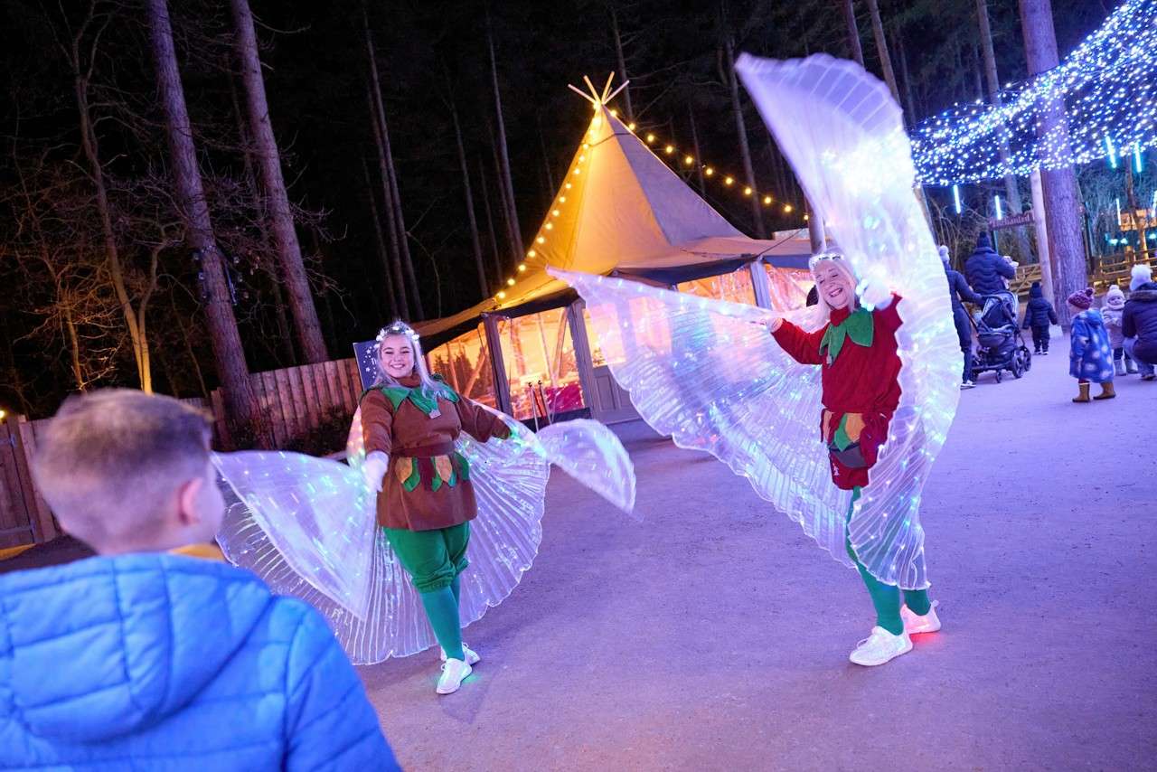 Pixies and fairies with sparkling wings.