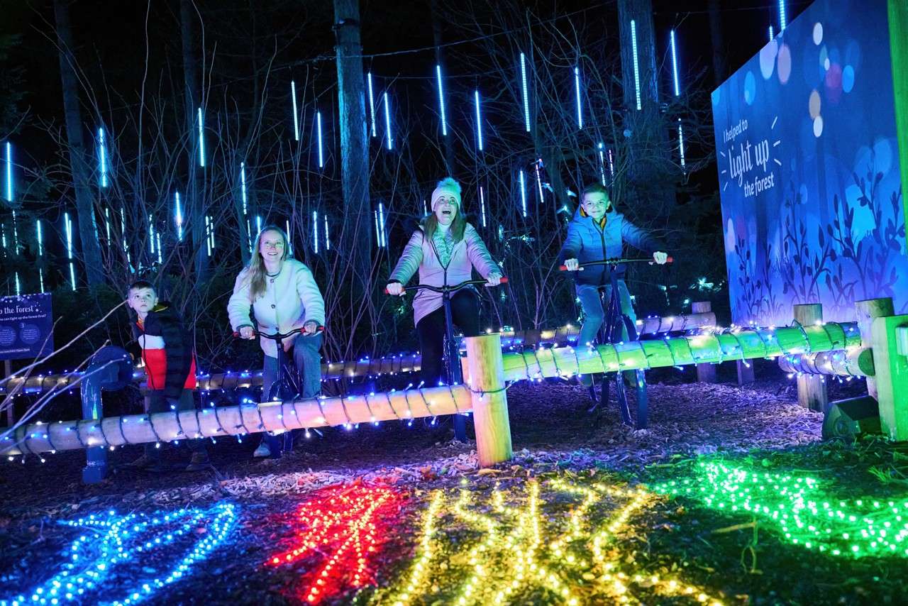 Family cycling to power lights in the forest.