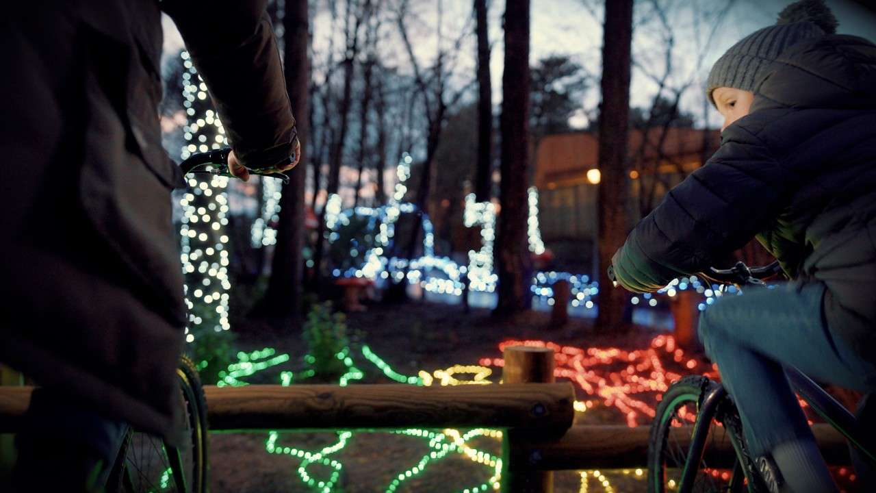 Family cycling to power lights in the forest.