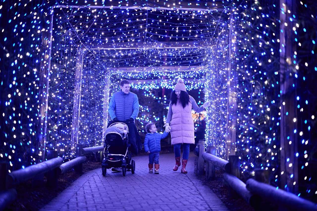 Family walking along a path lit with twinkling lights.