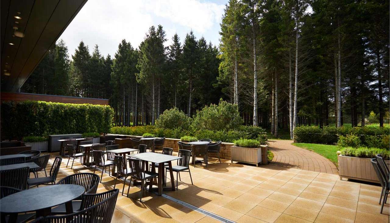 Outdoor terrace surrounded by the forest.