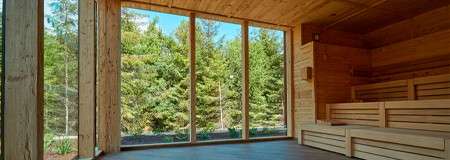 Inside of wooden sauna looking out to a forest.
