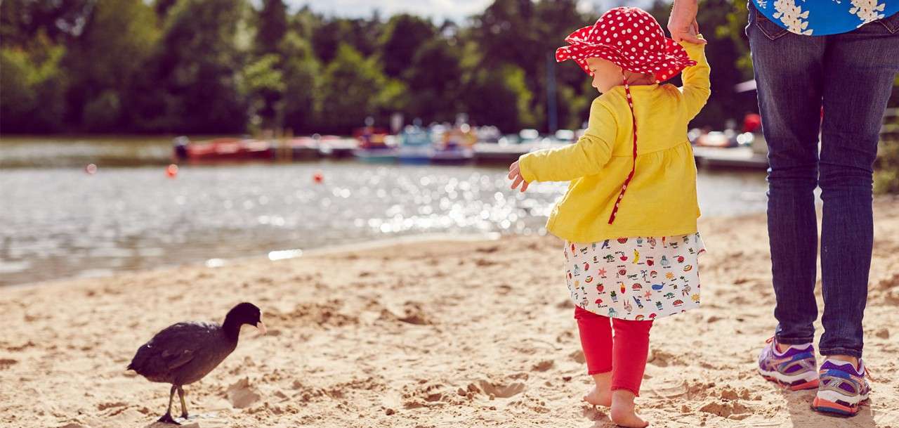 Child on beach looking at a duck