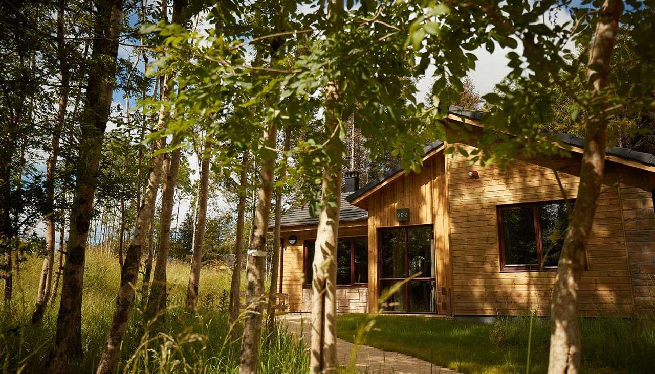 Woodland Lodge exterior surrounded by trees