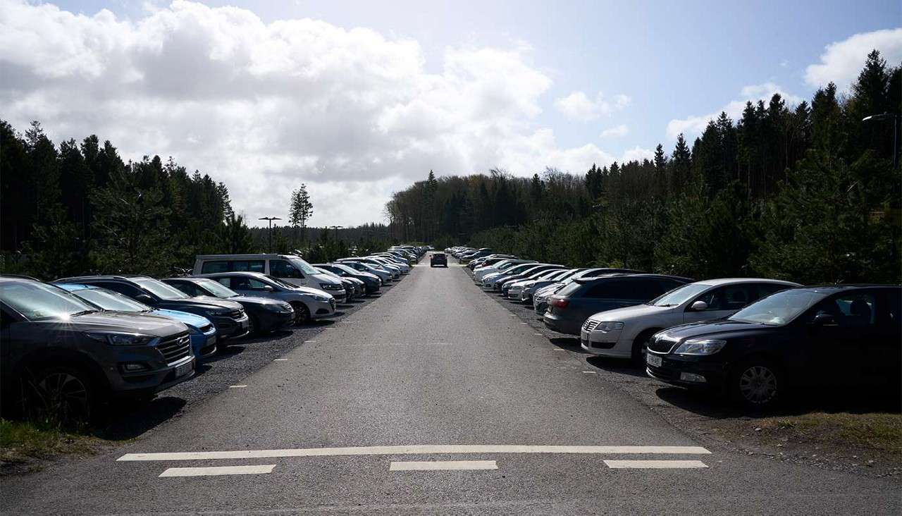 Car drives down a central lane, flanked by long rows of parked vehicles; an evergreen forest borders the lot under a bright, cloudy sky, with road markings in the foreground.
