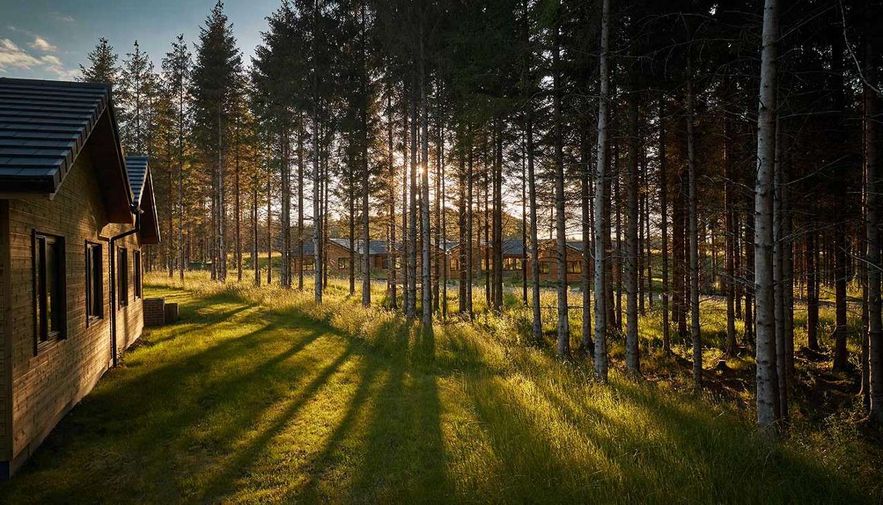 Lodges in the forest