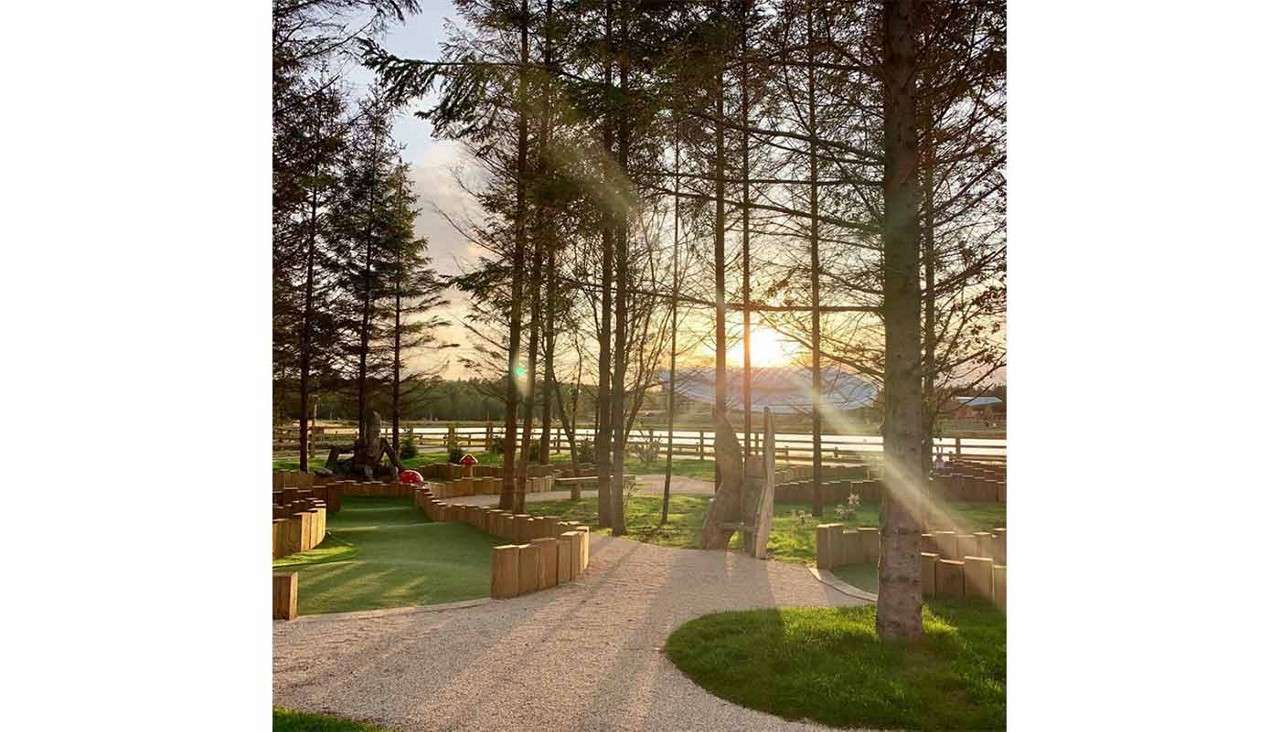 Sun shining through the trees on adventure golf course