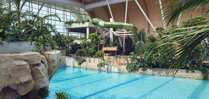 Subtropical Swimming Paradise