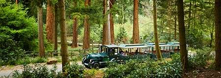  Longleat Forest Lodges | Wiltshire holidays