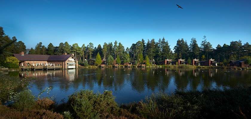 Whinfell Forest lake.