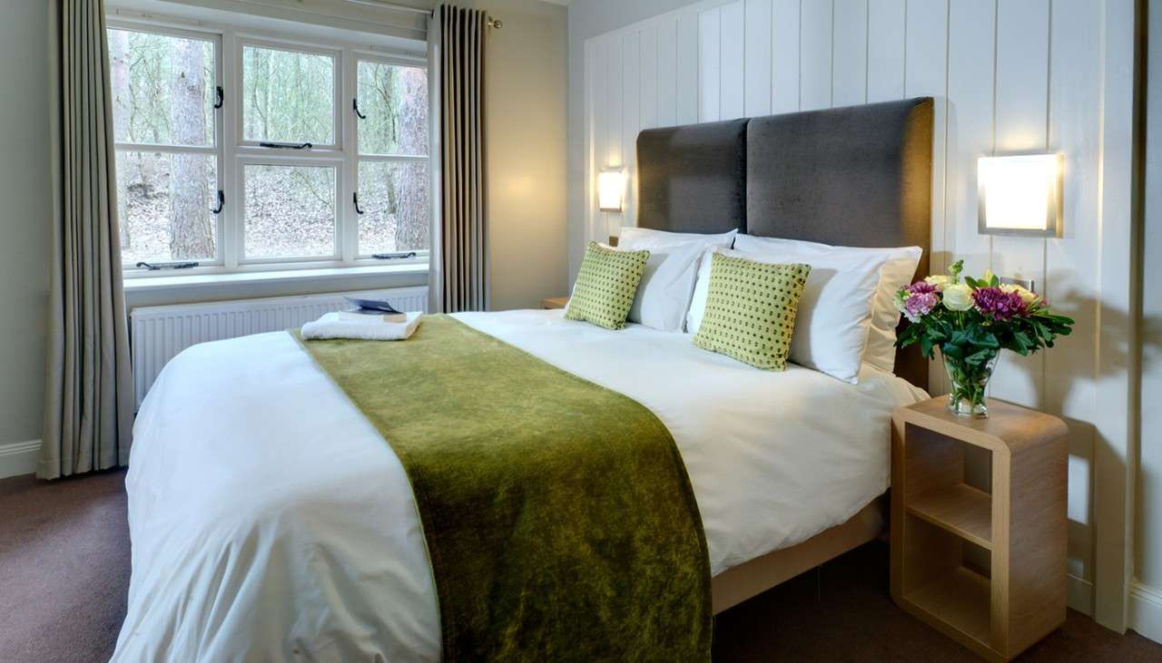 A double bedroom in a 4 bed Exclusive lodge. Outside the window you can see the woodland and trees. 