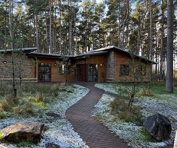 Wooden cabin stands amid tall pine forest; a curved brick path leads to its entrance. Light frost dusts the ground and shrubs; large rocks border the walkway.