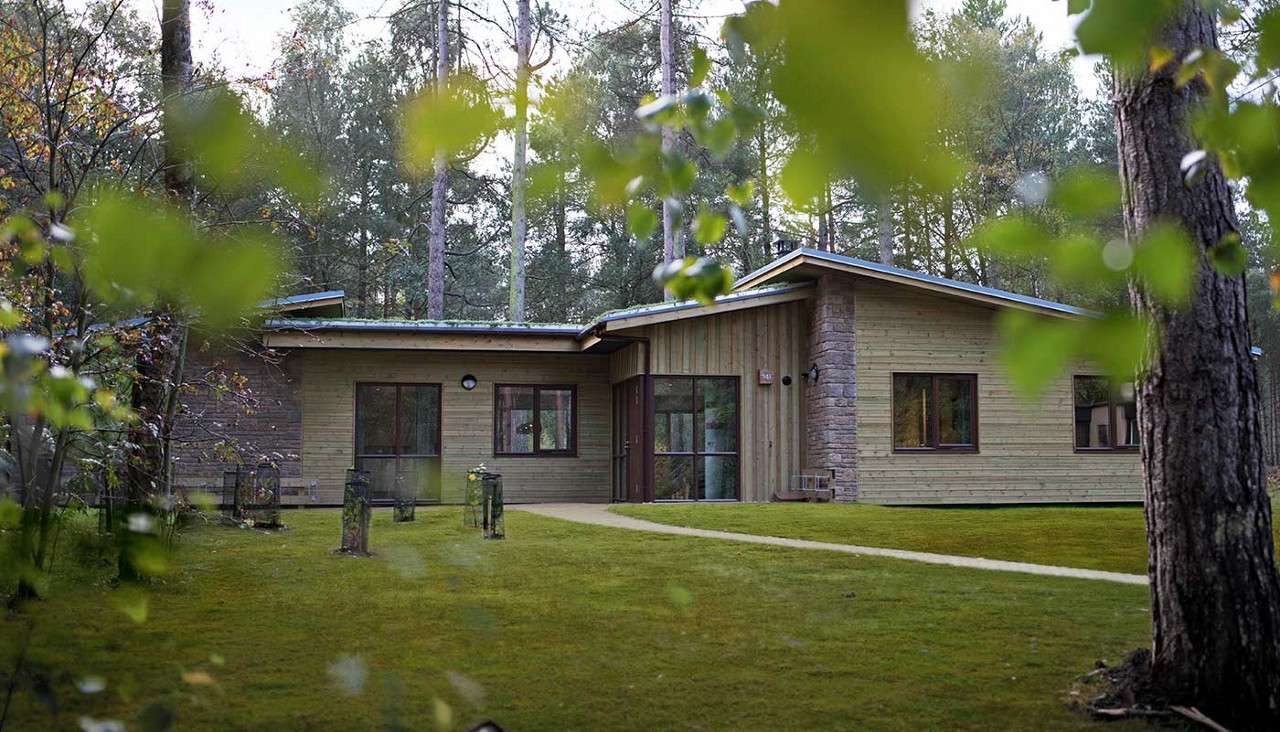 Wooden cabin stands with sloped roofs and large windows, while a narrow path curves to its entrance; forest clearing with trimmed grass, tall pines, and leafy branches framing the view.