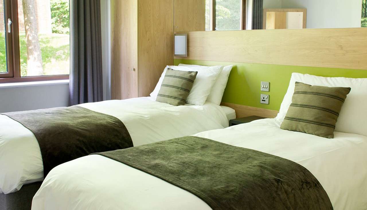 Two twin beds sit side by side, with white linens, dark runners and striped cushions; in a room with wood headboard, green accent panel, outlets, large window, curtains, trees outside.