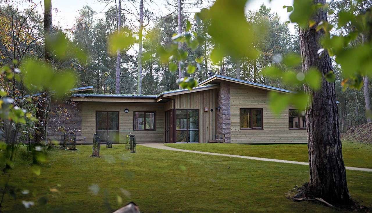 Single-story wooden cabin sits quietly, facing a curved path, with large windows. Surrounded by a grassy lawn and tall pine trees, foreground leaves frame the forest setting.