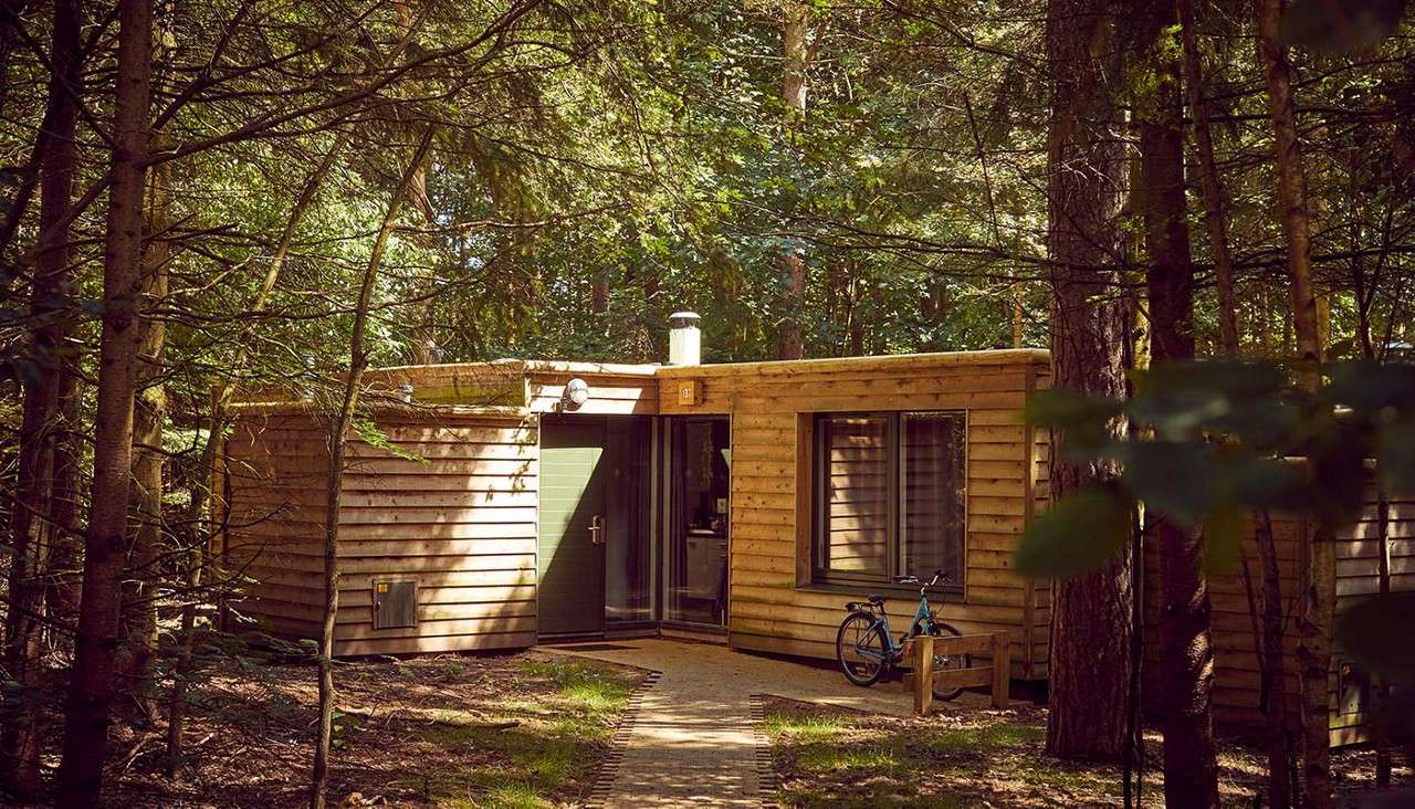 Wooden cabin stands quietly, flanked by windows and a chimney. Bicycle leans by the entrance. Context: shaded forest trees and dappled light; narrow path leads to the door. Text: "31".