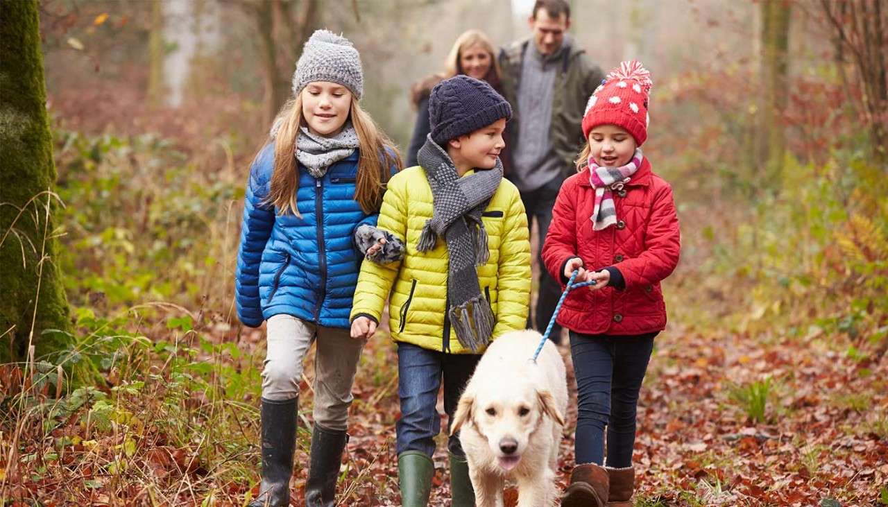 Children walking with their dog through the forest.