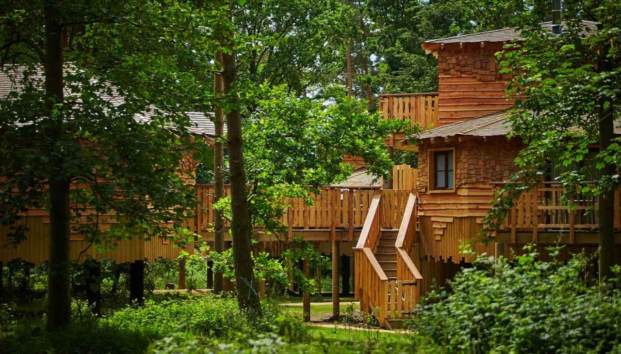 A view of the Treehouse through the forest.