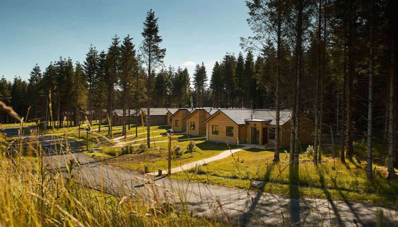 Woodland lodges in the forest.