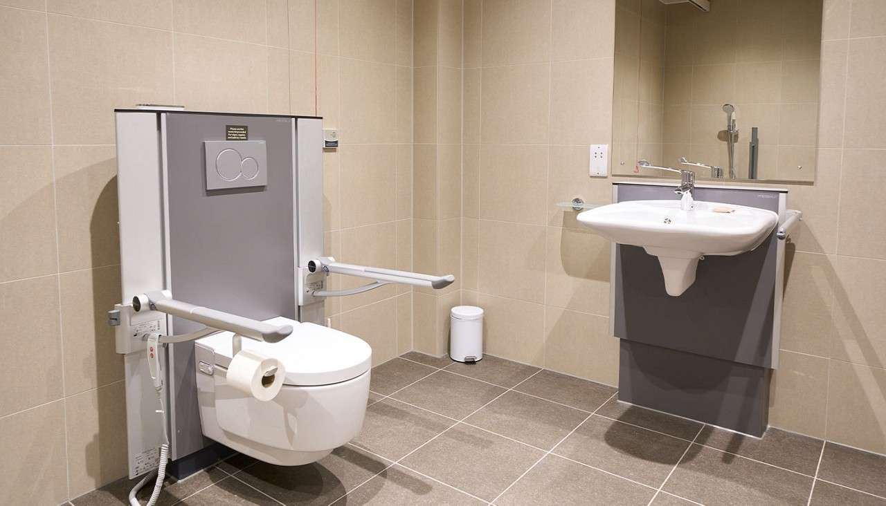 Adapted toilet