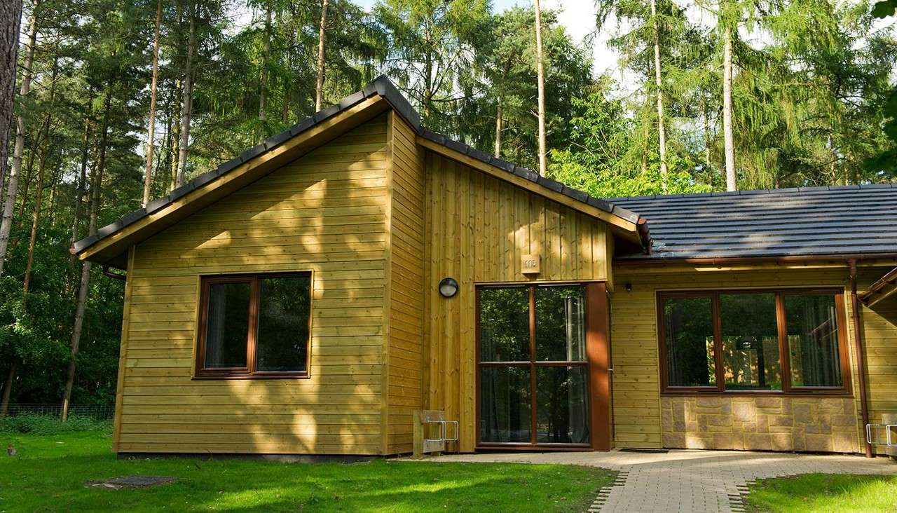 Wooden cabin stands quietly, sunlight dappling its timber walls and large windows; surrounded by tall pine trees, green lawn, and a curved paved path leading to the glass door.