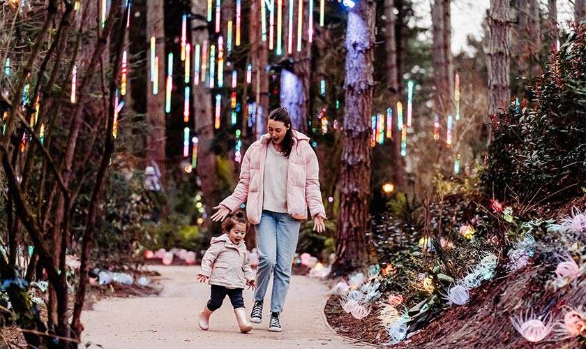 A mum and toddler walking through the Enchanted Light garden laughing. 