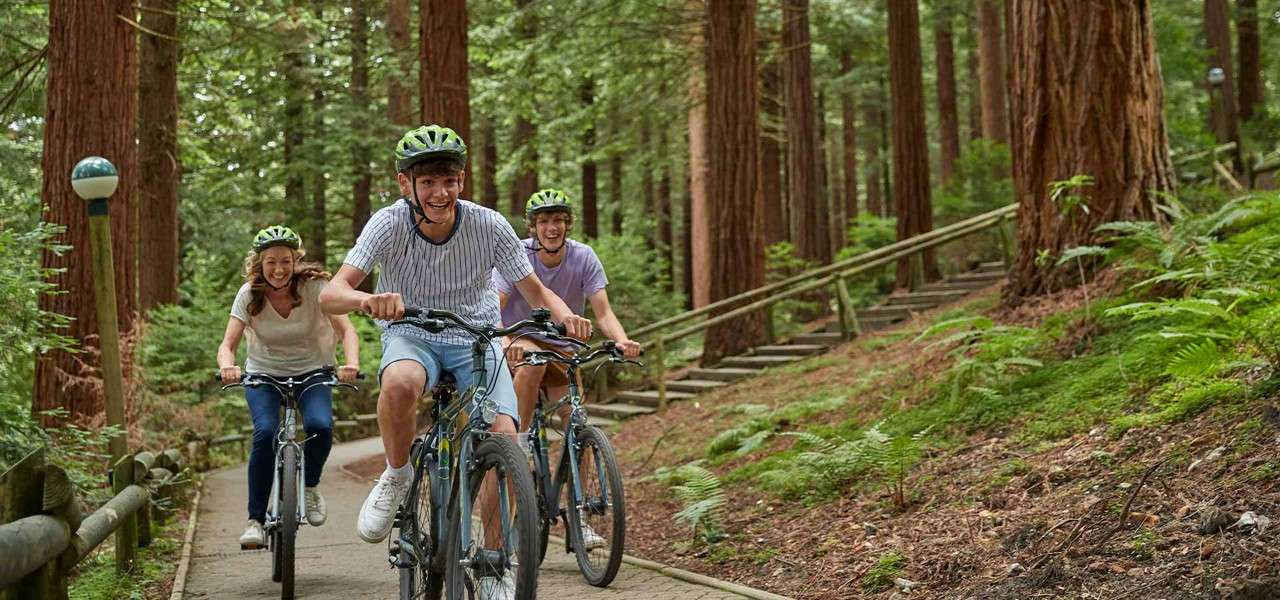 Teenagers and their mother cycling through the forest paths.