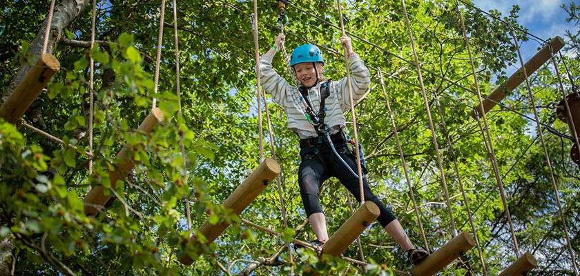 A girl wearing a harness completing the Aerial Adventure obstacle course in the trees.