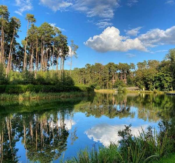 The lake at Woburn Forest