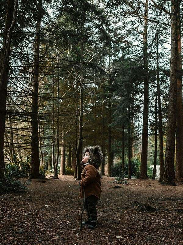 A child wearing a bear hat staring at a tree.