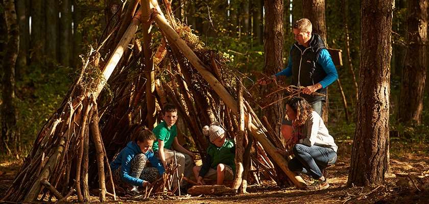 Family den building in the forest