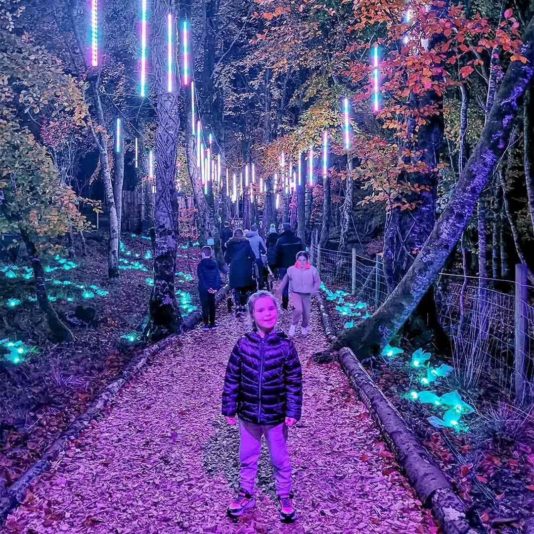 A boy walking through Winter Forest lights.