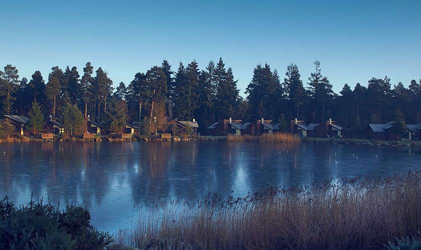 Frozen lake lies still, reflecting blue sky; cabins with chimneys line the far shore, nestled among tall pine trees; reeds and shrubs frame the foreground, scattered birds dot the ice.